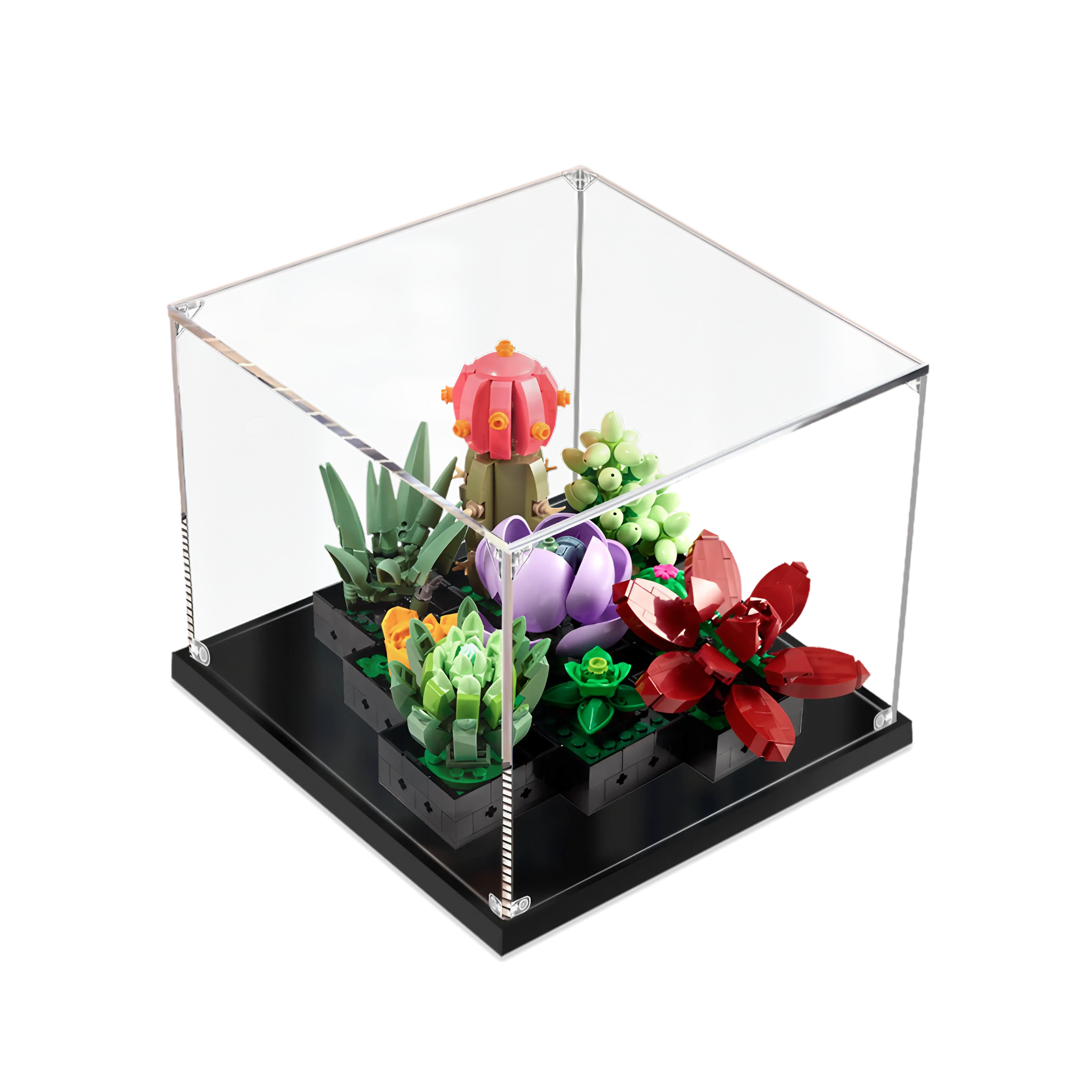 Acrylic Display Case for LEGO® Succulents 10309