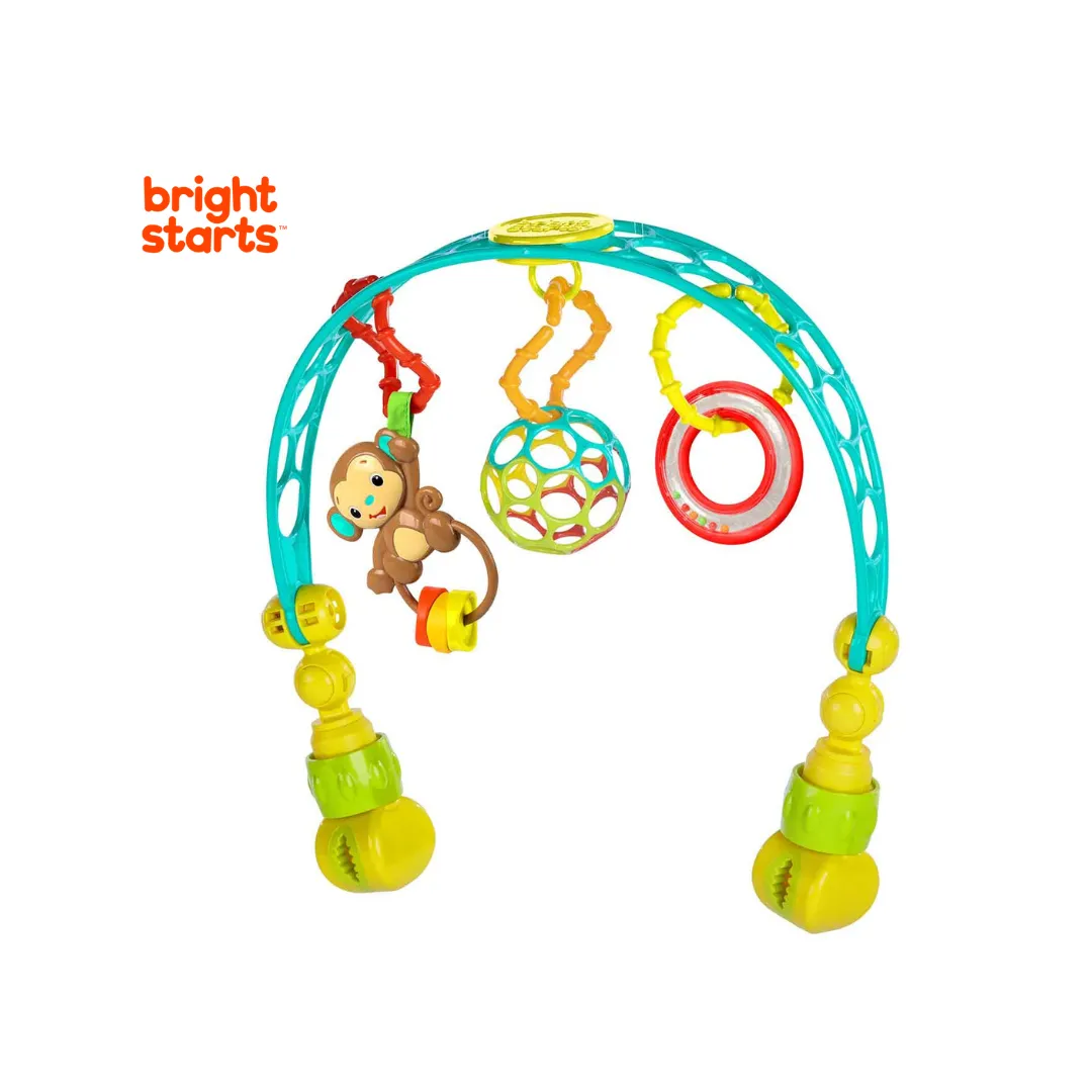 Bright Starts Flex N Go Activity Arch Take Along Toy (0m )