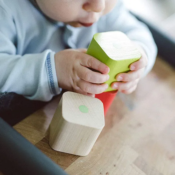 Tegu Baby's First Blocks (6pc) (6mo )